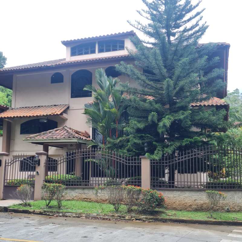 Large residential backyard garden with lush tropical vegetation and privacy wall in Albrook Panama City