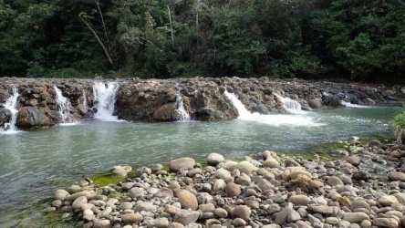 Serene river flowing through private farmland with small waterfalls and dense vegetation