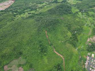 Aerial view of dense hillside greenery with dirt road winding through near rural development Santiago Panama
