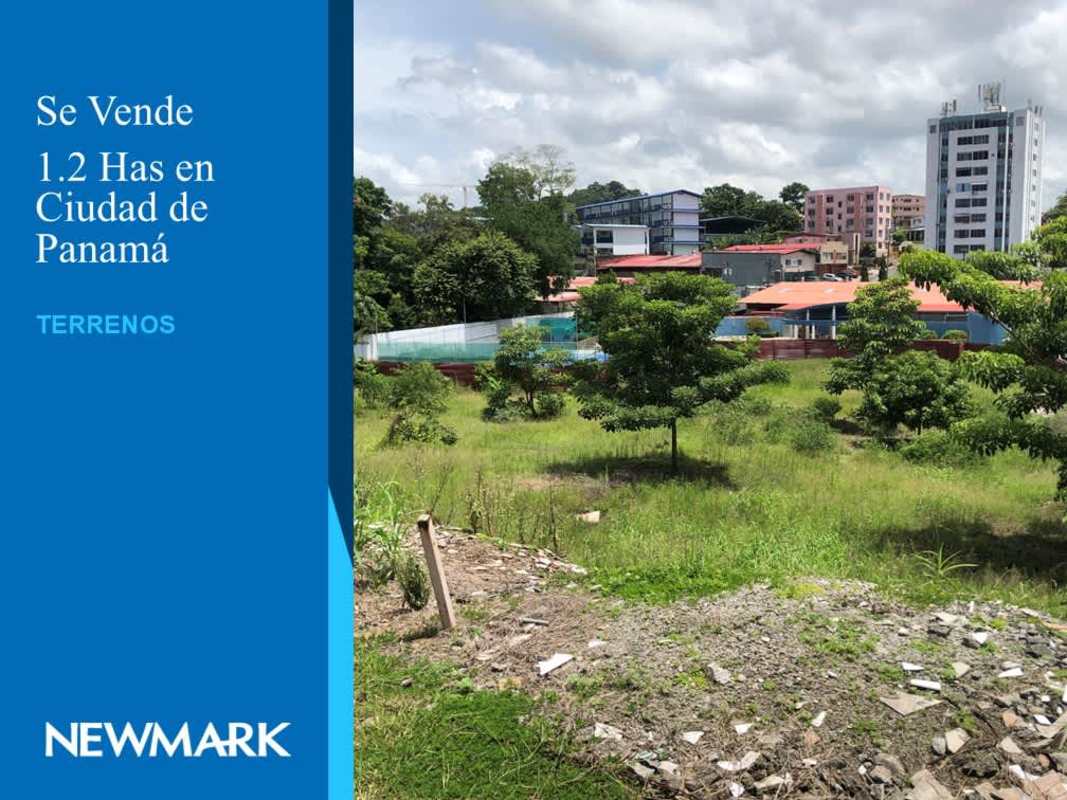 Large Urban Lot 1.2ha Betania Ideal for Development