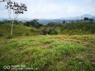 Land / Farm for Sale in Cermeño - 0 bedrooms