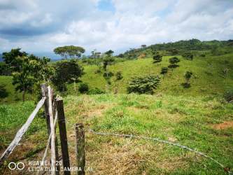 Green pasture with wooden fence posts, blue sky and scattered trees in Santa Rosa Capira Panama