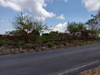 Paved road beside rural beachfront development lot