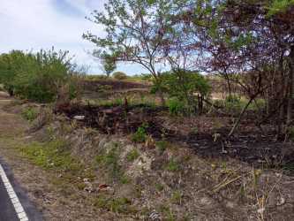 Fence posts and trees on 2000m² lot for development in San Carlos near beach