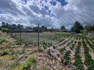 House for Sale in Tierras Altas - 3 bedrooms