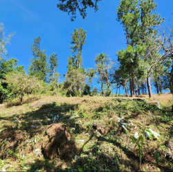 Sloped terrain with greenery in countryside Jaramillo Boquete Panama land for sale