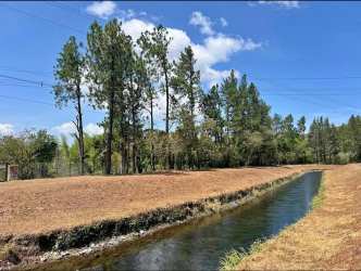 Rural lot with creekside and pine trees under blue mountain sky in Boquete Panama