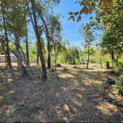 Land for Sale in Jaramillo Abajo - 0 bedrooms