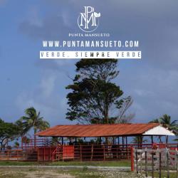 Aerial coastline with Caribbean waves crashing on Punta Mansueto Donoso Panama