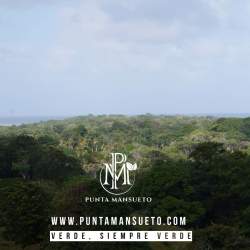 Dense green rainforest near Caribbean coastline at Punta Mansueto Donoso Colón Panama