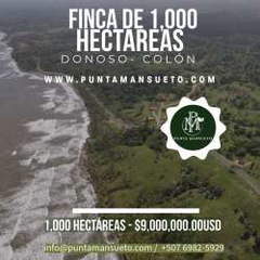 Land for Sale in Miguel de la Borda - 0 bedrooms