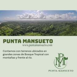 Vast forest with river banks and mountain backdrop at Punta Mansueto Donoso