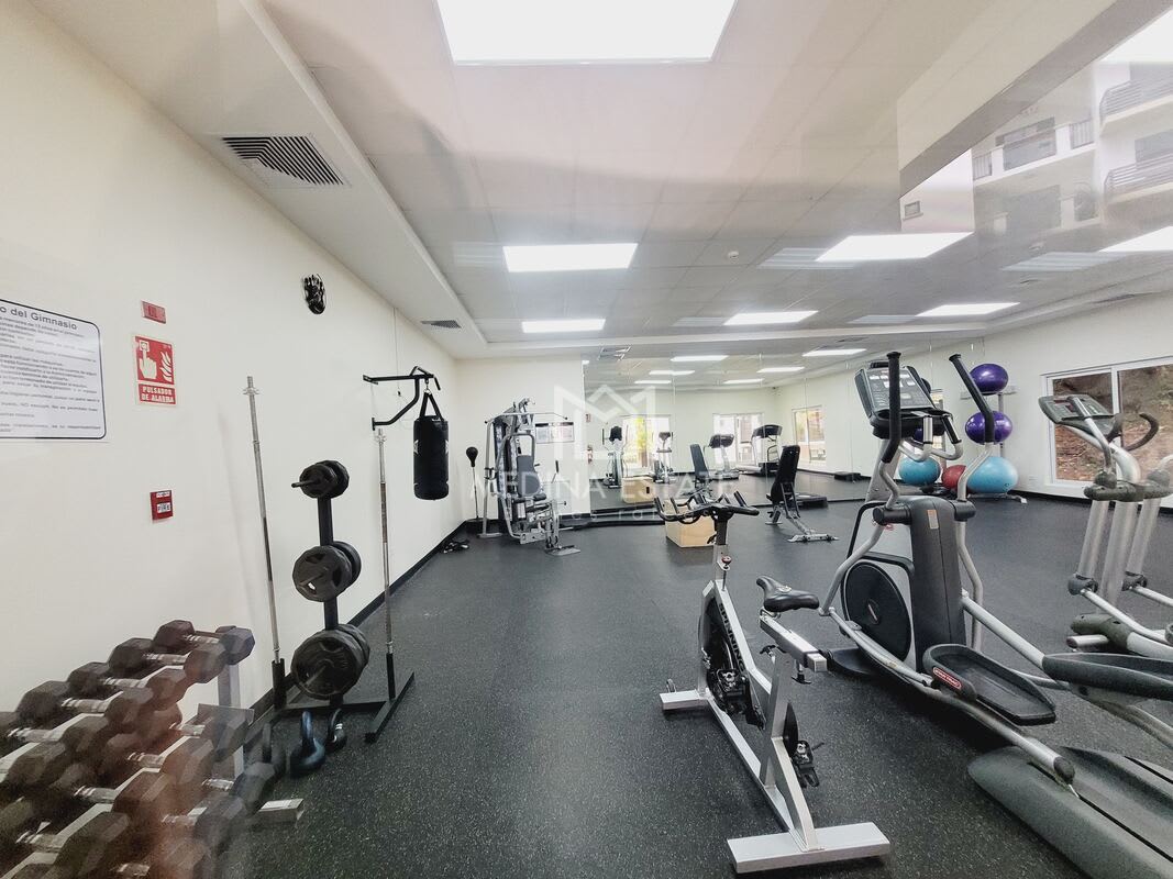 Community swimming pool with tropical landscaping at Embassy Village Clayton