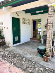 Rustic covered porch entryway with greenery in Penonomé Coclé house for sale