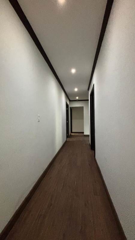 Swimming pool with artificial turf and terrace in commercial house San Francisco Panama