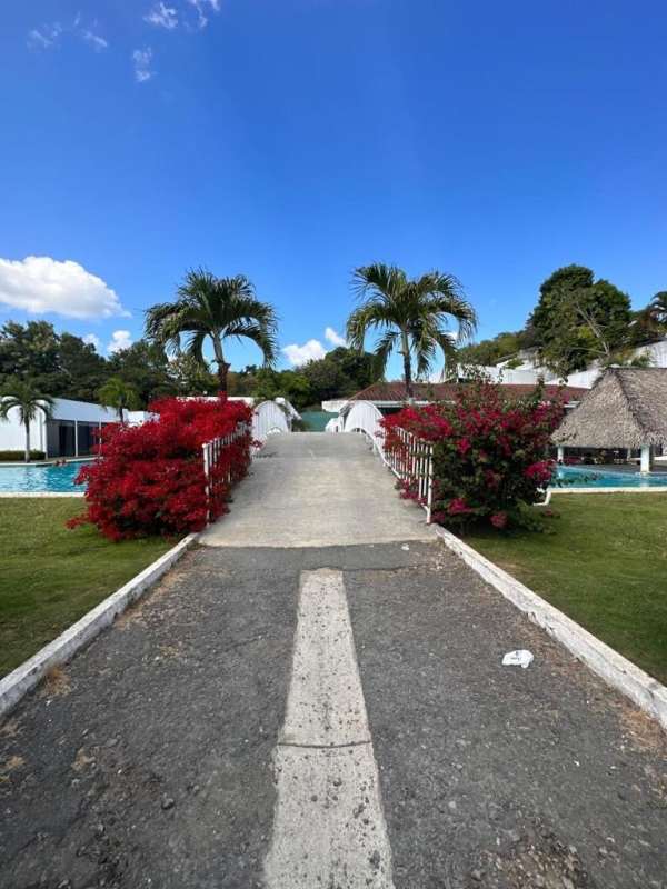 Beautiful lush pool area with bridges in Bijao Beach Club Panama