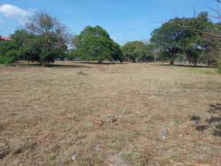 Land for Sale in El Coco - 0 bedrooms