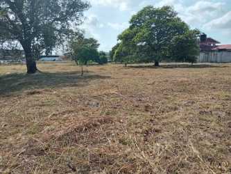 Wide open land with some mature trees and direct highway access in Penonomé