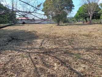 Large open lot with trees adjacent paved highway Penonomé ready for construction