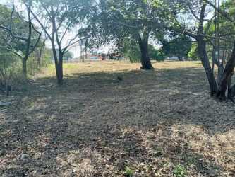 Vacant land on paved Interamericana road with nearby tree cover for sale in Penonomé