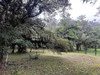 Flat wooded plot with mature trees in Sector León at Altos del María Panama