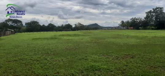 Open grassy field with mountain view and trees in Los Algarrobos David Panama