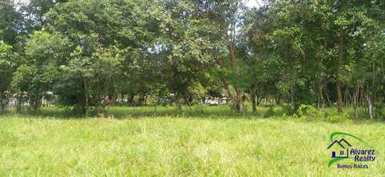 Open countryside parcel with natural trees and space for residential development