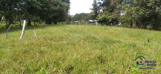 Land for Sale in Los Algarrobos - 0 bedrooms