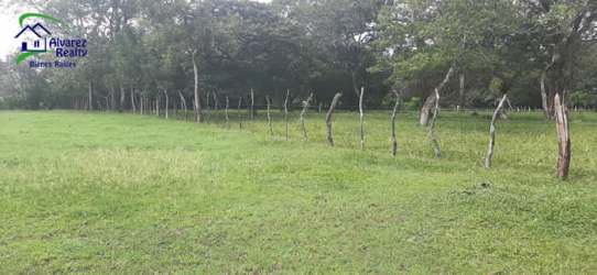 Expansive grassy acreage perfect for residential or mixed-development in Panama
