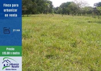 Large developable grassy field available near downtown David Panama