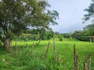 Land for Sale in El Palmar - 0 bedrooms