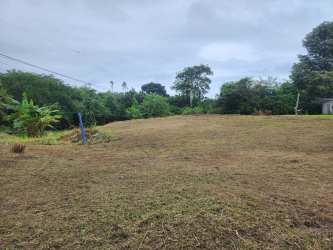 Vacant lot with mature trees near beach El Palmar San Carlos Panama
