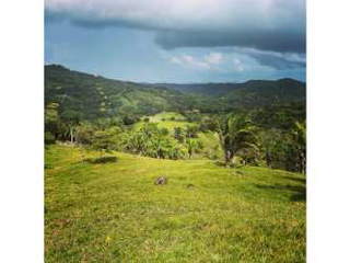 Farmland / Ranch for Sale in Natá - 1 bedroom