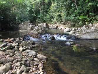 Natural rocky creek with flowing water amid dense greenery on farmland