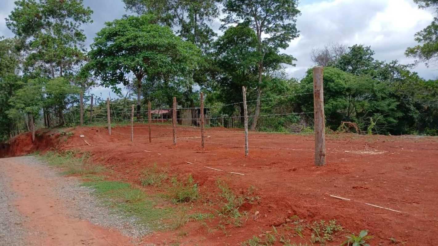 Partially cleared forested land plot with fencing and gravel path Las Mañanitas Panama