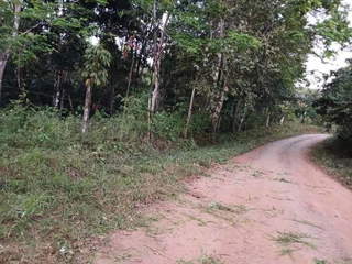 Land for Sale in Pedregal - 0 bedrooms