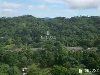 Dense tropical forest investment land Colón along main highway ideal eco-tourism