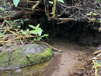 4 Hectares Mountain View Land Volcancito Boquete Chiriquí