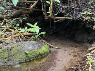 Land Lot for Sale in Jaramillo - 0 bedrooms