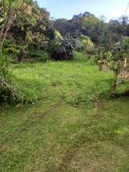 El Valle Panama titled land with grass patches and mature shade trees