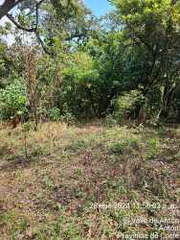 Land for Sale in Antón - 0 bedrooms