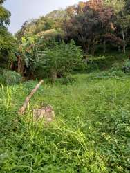 Wooded hillside land for eco-project or estate in El Valle Coclé Panama