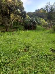 Forested mountain terrain for sale titled land Coclé Panama