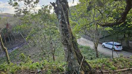 Gravel road with dense tree-lined parcel of mountain land for sale El Valle Panama