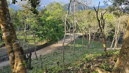 Lush tree cover mountain land perfect for eco project investment in Panama