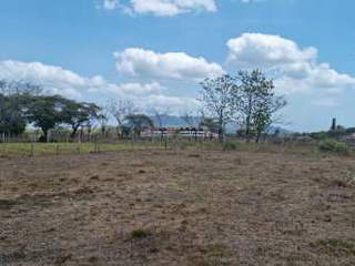 Farm / Land for Sale in San Carlos - 0 bedrooms