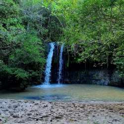 Narrow paved road surrounded by grass and trees leading into farmland near El Valle de Anton Panama