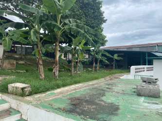 Covered outdoor terrace with metal roof and garden view in Arraijan Panama