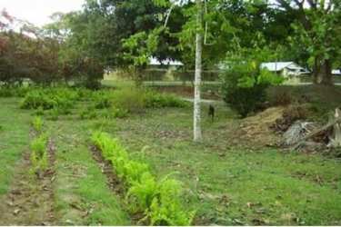 Vacant land plot with trees and open grassy areas near beach Santa Clara Panama