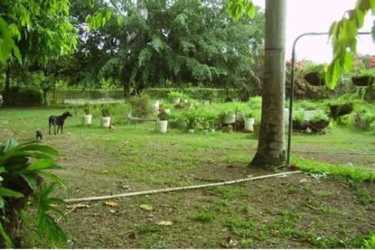 Gated residential lot in Santa Clara beach area with tropical foliage